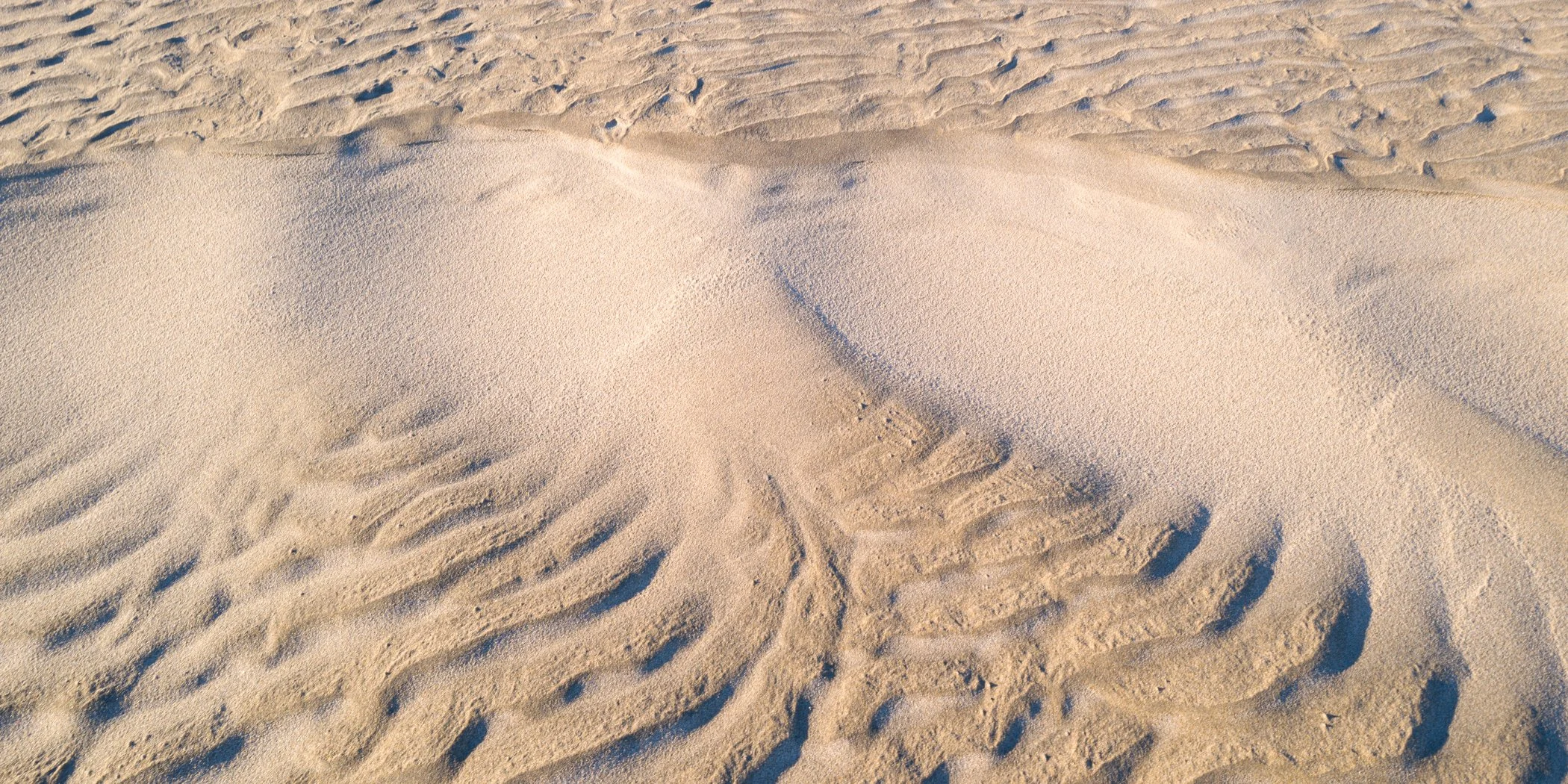 Tidal Dunes