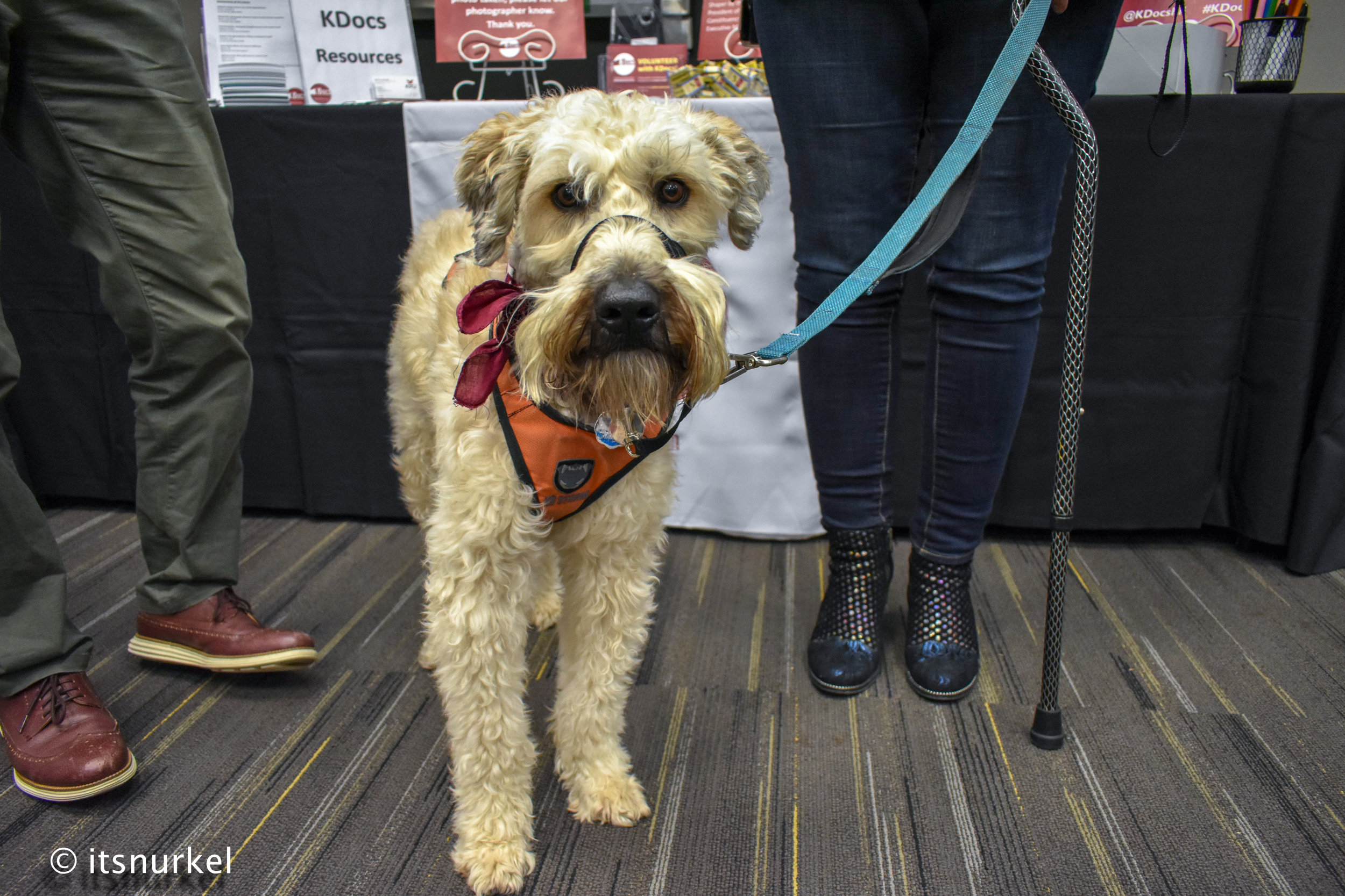 KDOCS2019_NicoleLeung-1673.jpg