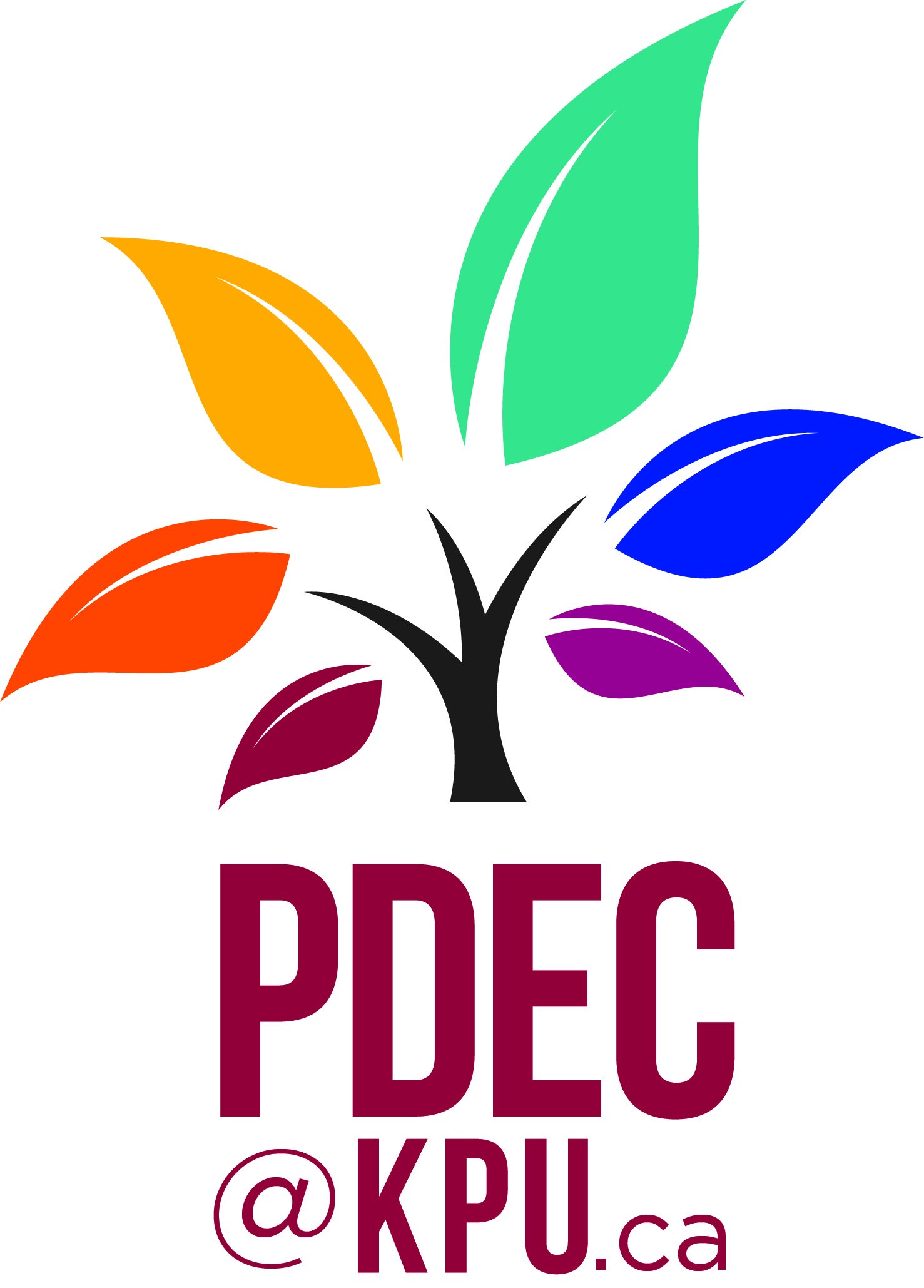 PDEC-logo_2017.jpg