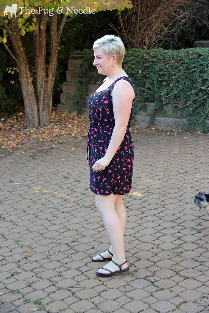  Pug Photo Bomb!
