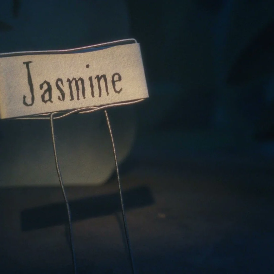 heretic-rhubarb-thief-stop-motion-film-jasmine-tag-still.jpg