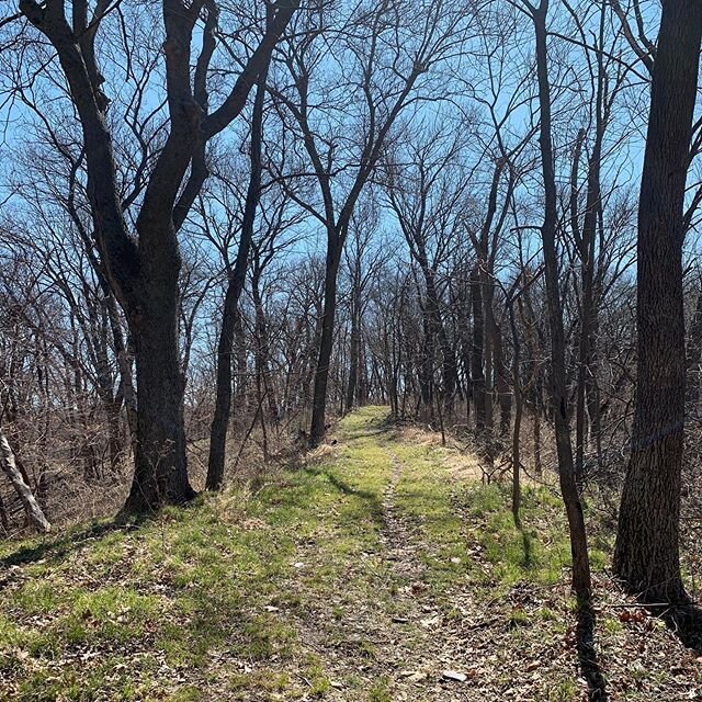 A hilly seven-mile hike today in Neale Woods. Pro tip: avoid going near the river unless you want to hike in a muddy hellscape from last year&rsquo;s flooding.