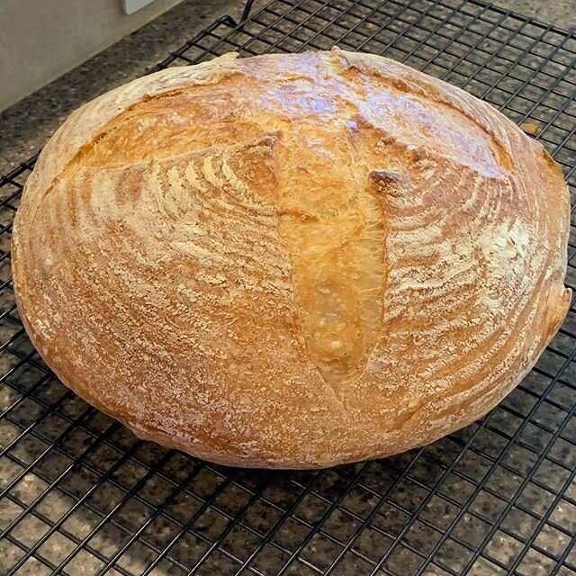 Failed at sourdough last night, so went back to my old standby poolish bread today!