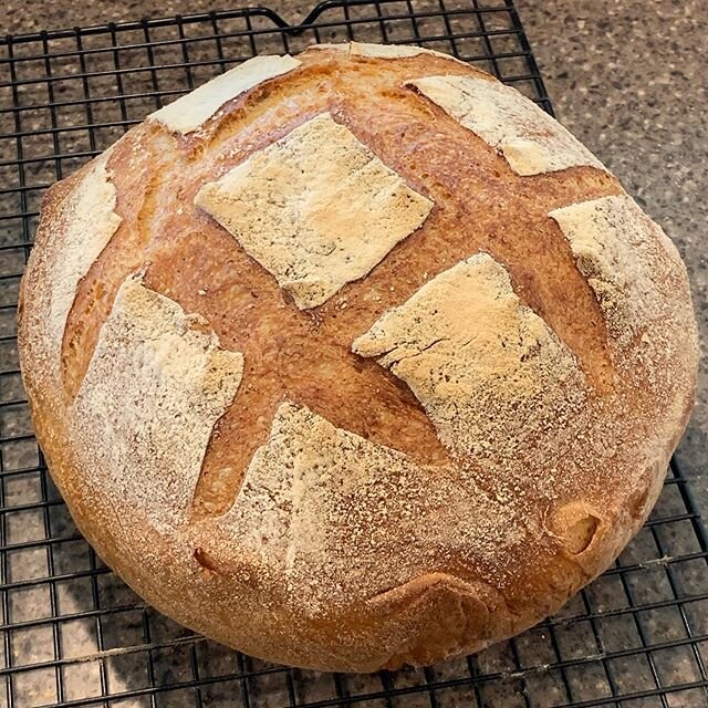 A multigrain boule, fresh from the oven.