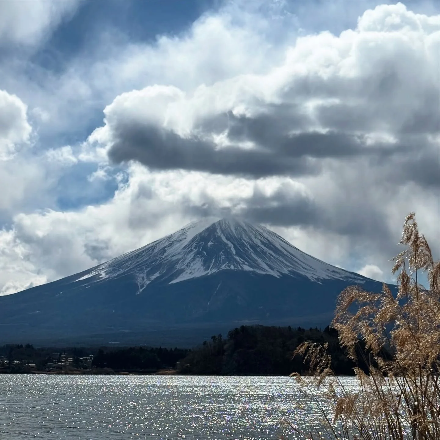Mount Fuji #mtfuji #japan