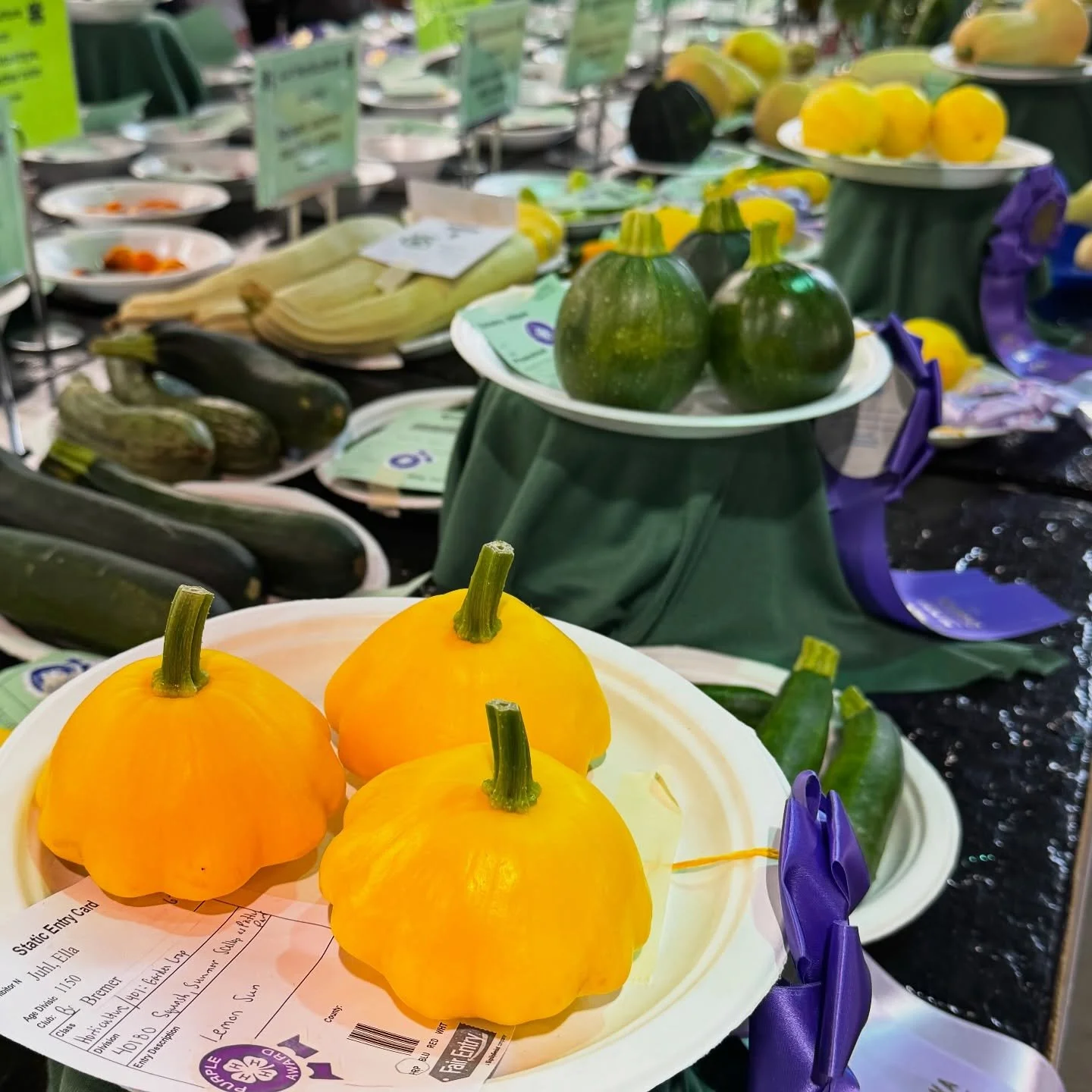 An assortment of ribbon-worthy produce at the Iowa State Fair. #iowastatefair