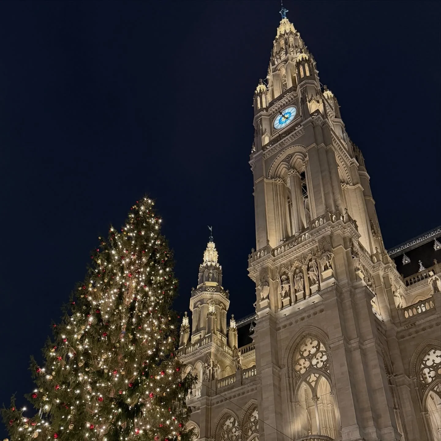 Christmas Market at the Rathausplatz in Vienna.