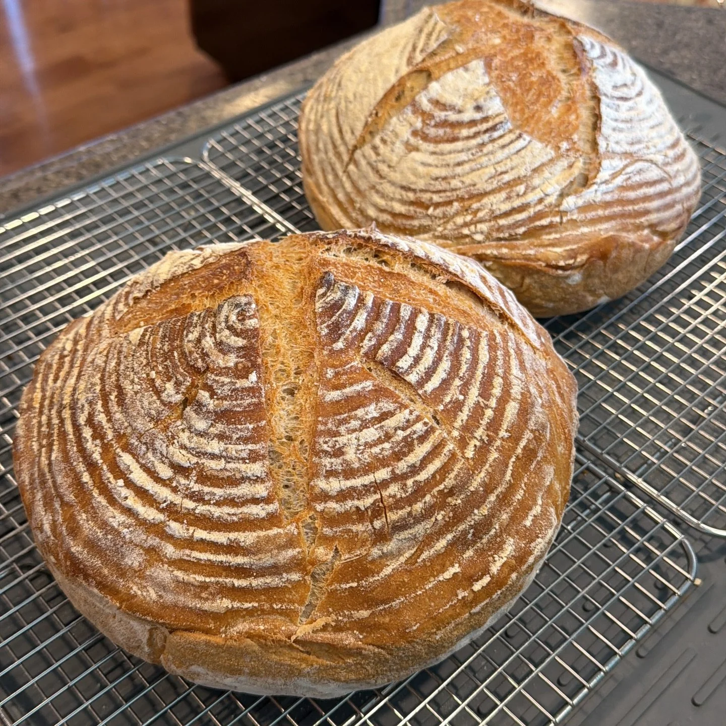 Just pulled a couple fresh multigrain boules from the oven&hellip;
