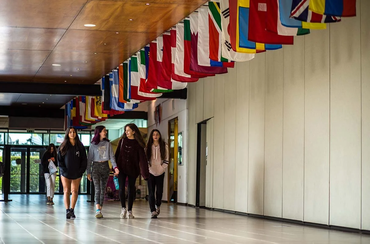 Foundational Intercultural Competency Capacity Building