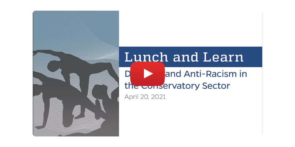 Diversity in the Conservatory Sector