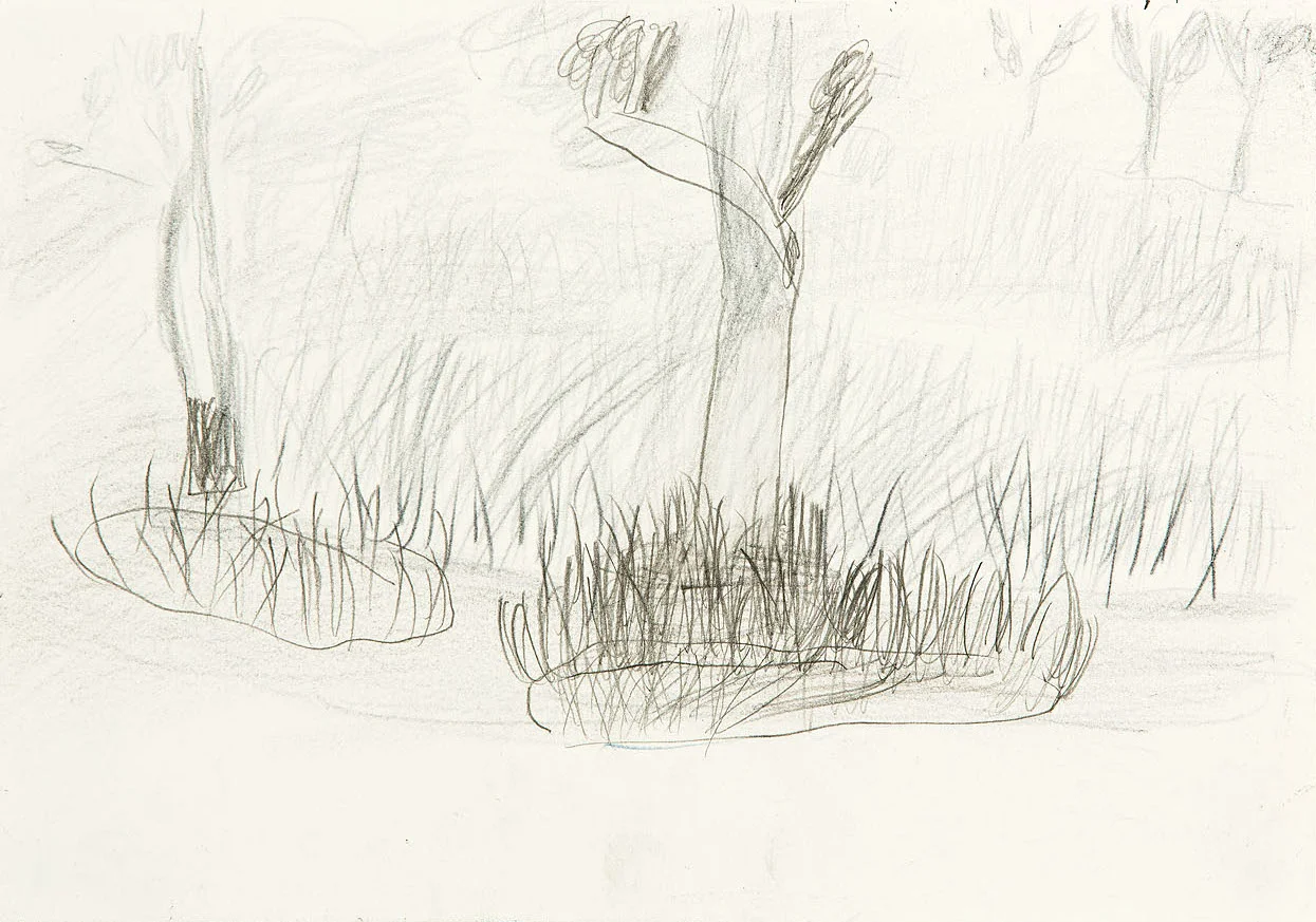 2014-Murphy-English-Garden-series-1-pencilppr-21x30cm-framed.jpg