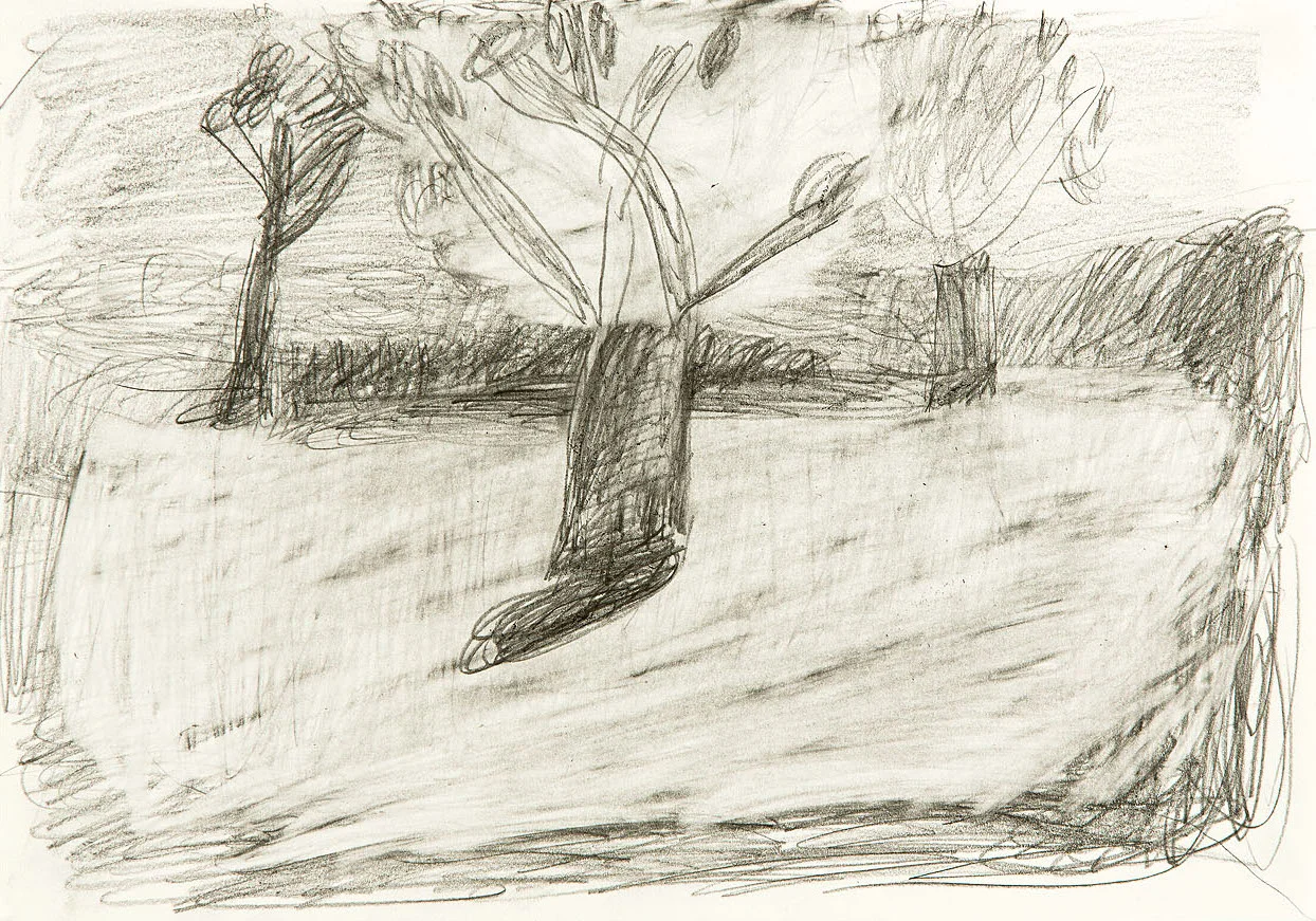 2014-Murphy-English-Garden-series-3-pencilppr-21x30cm-framed.jpg
