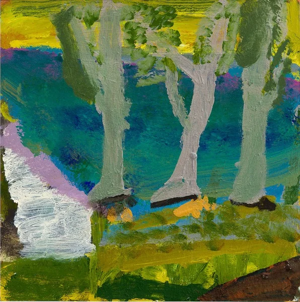 Silver trees and dam