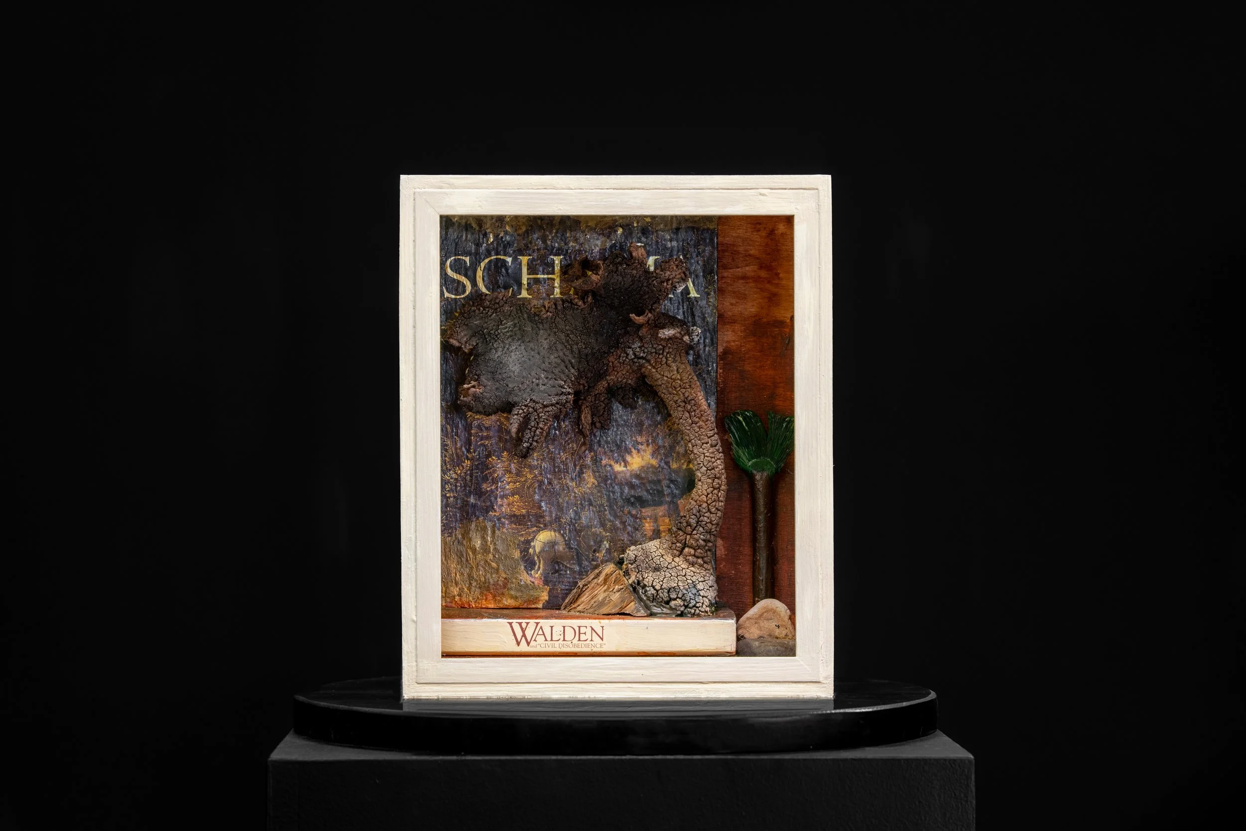 Book Plate, 2021, mixed media construction, 30x35x35cm