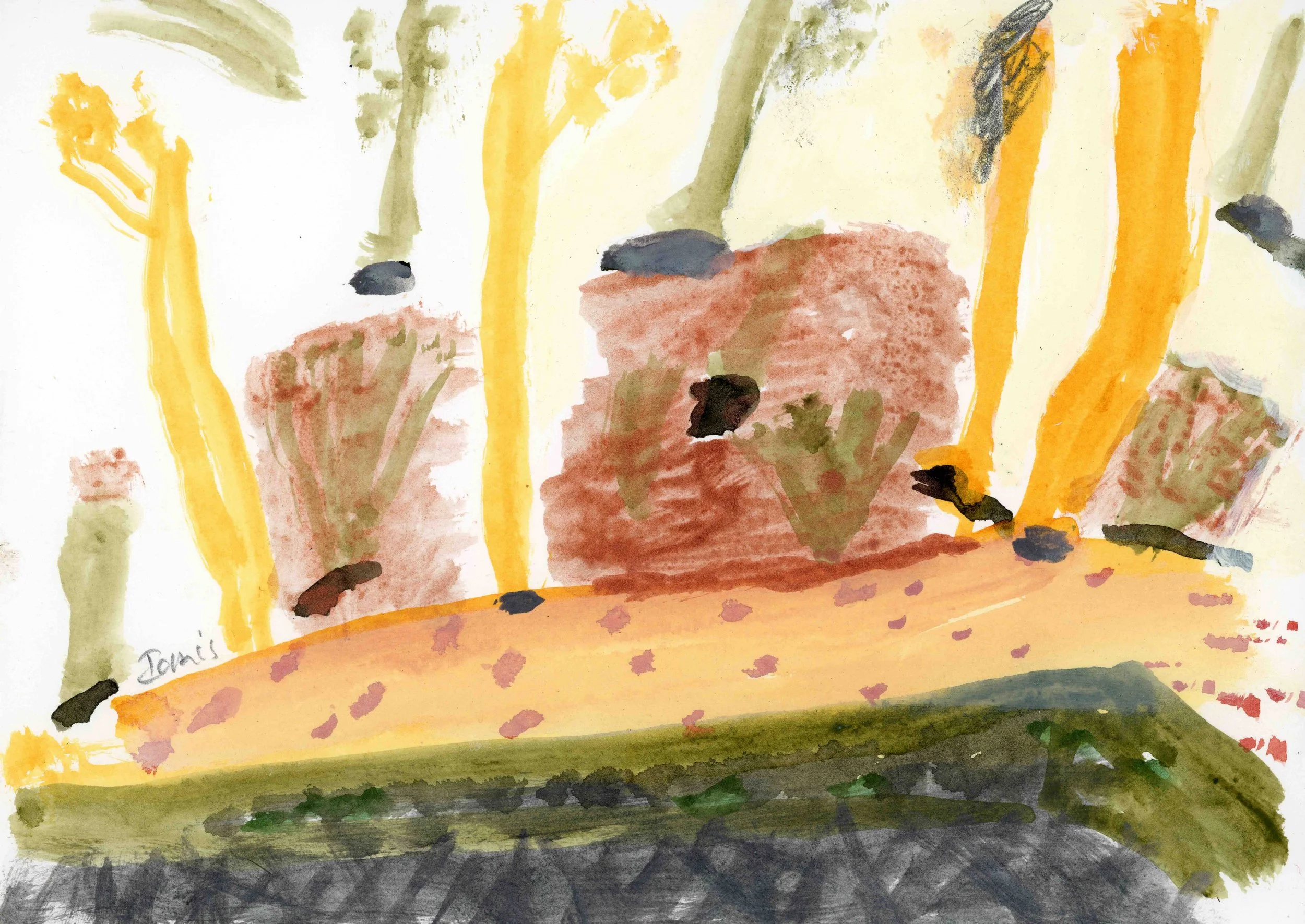Burrawang, acrylic on paper, 21 x 30 cm