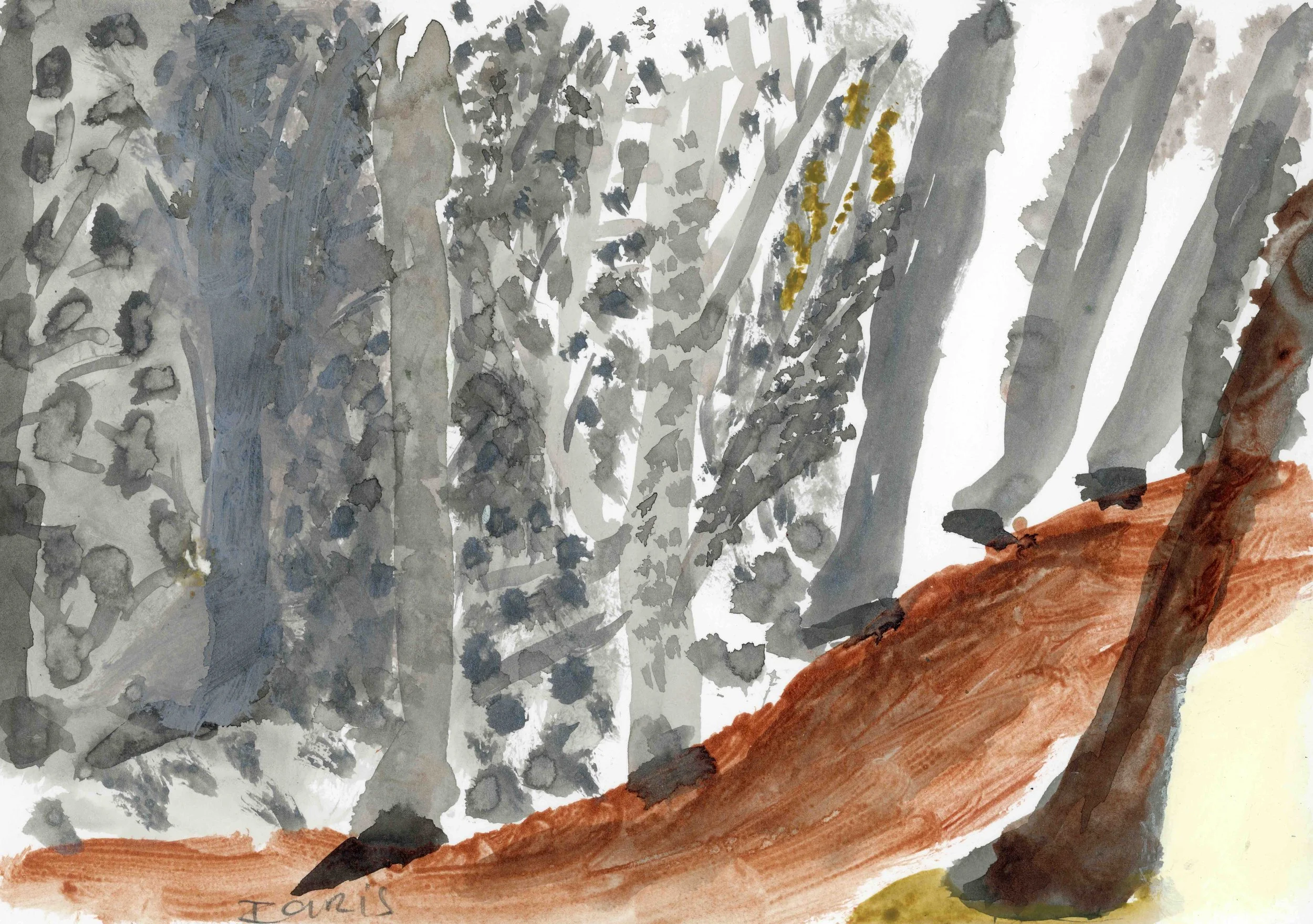 Tree Track, 2022, acrylic on paper, 21 x 30 cm