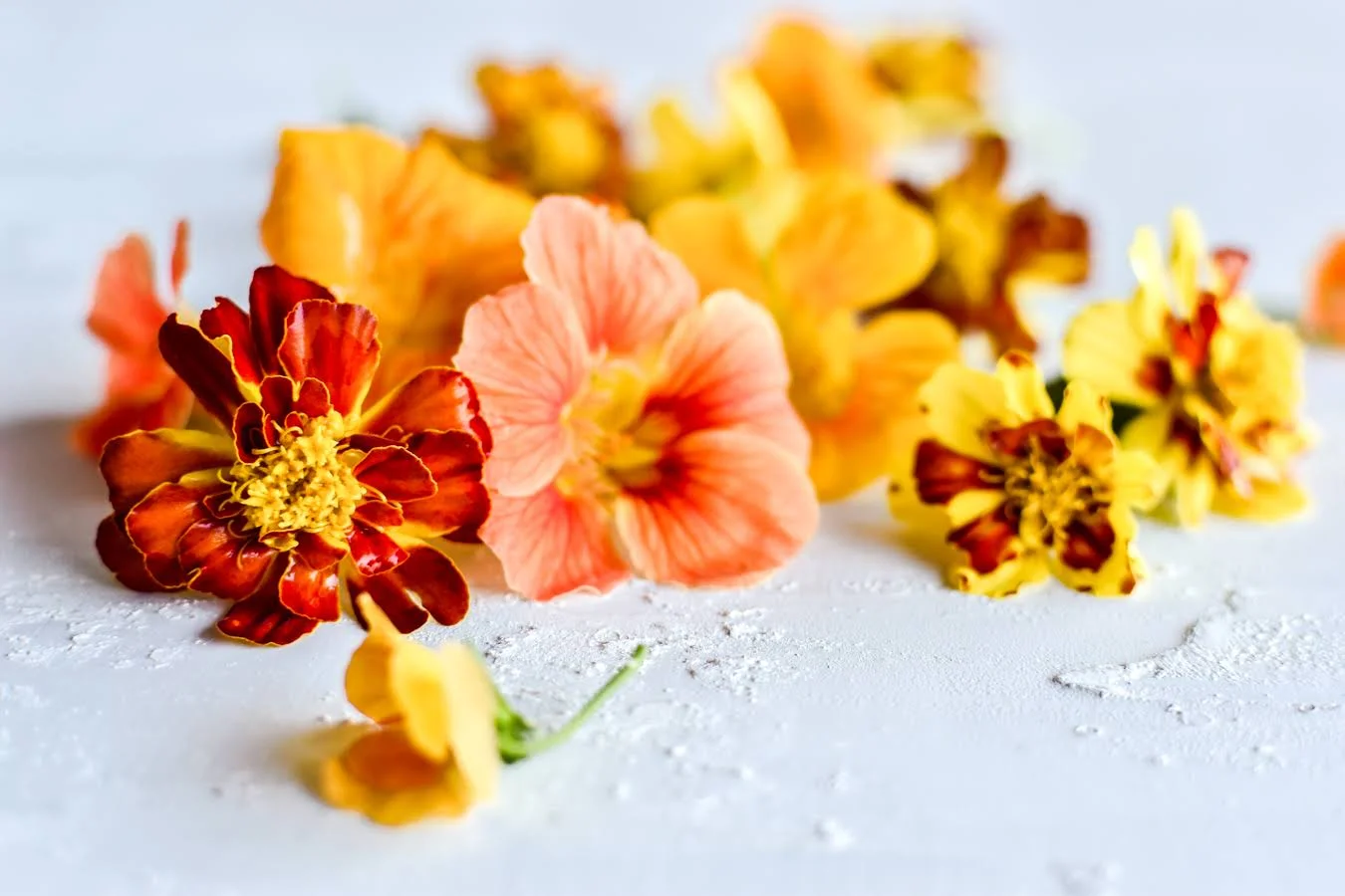 Orange Edibles from my Garden | Styling + photography by Georgia Barnes