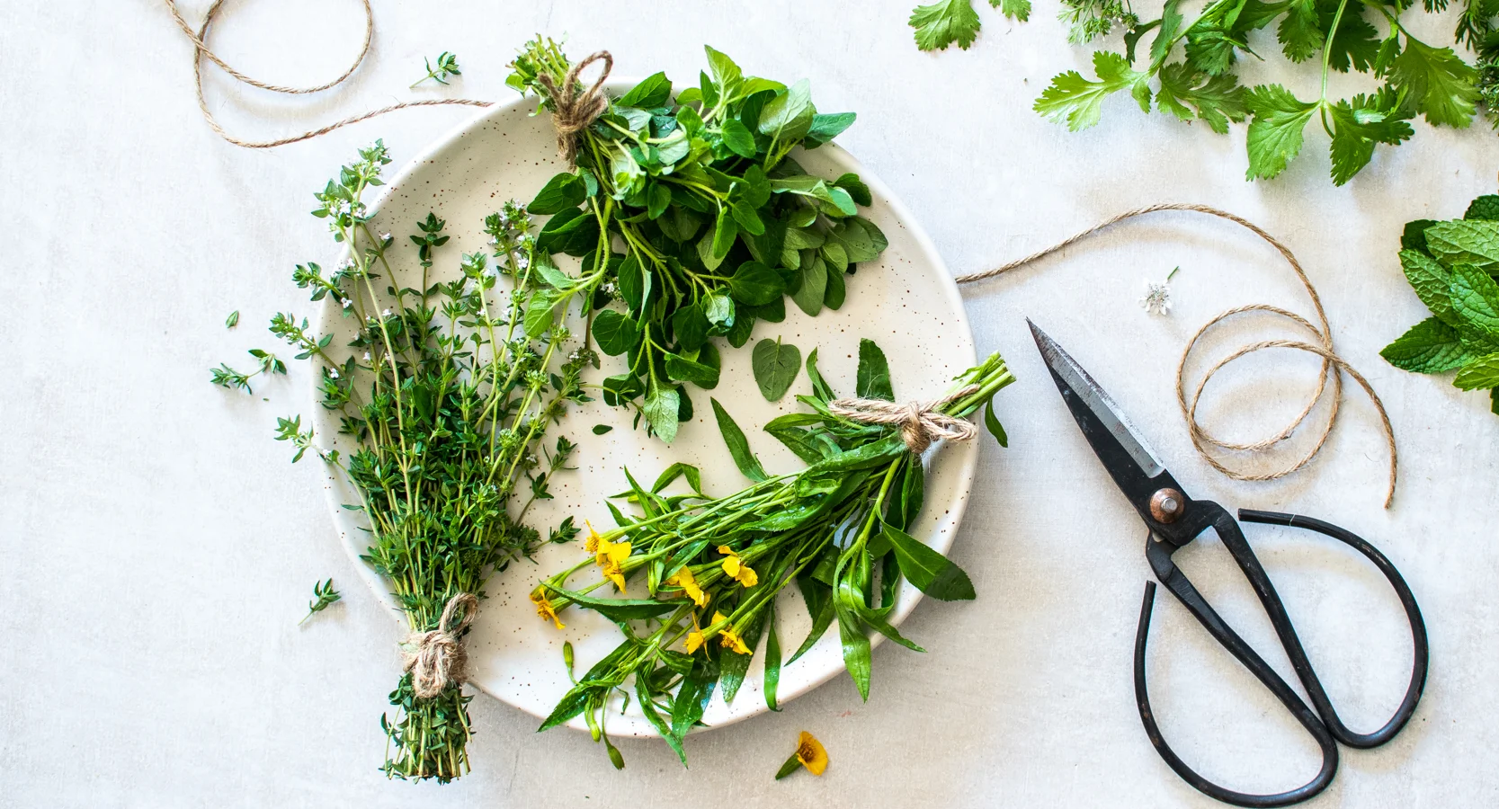Herbs from the Patch | Styling + photography by Georgia Barnes