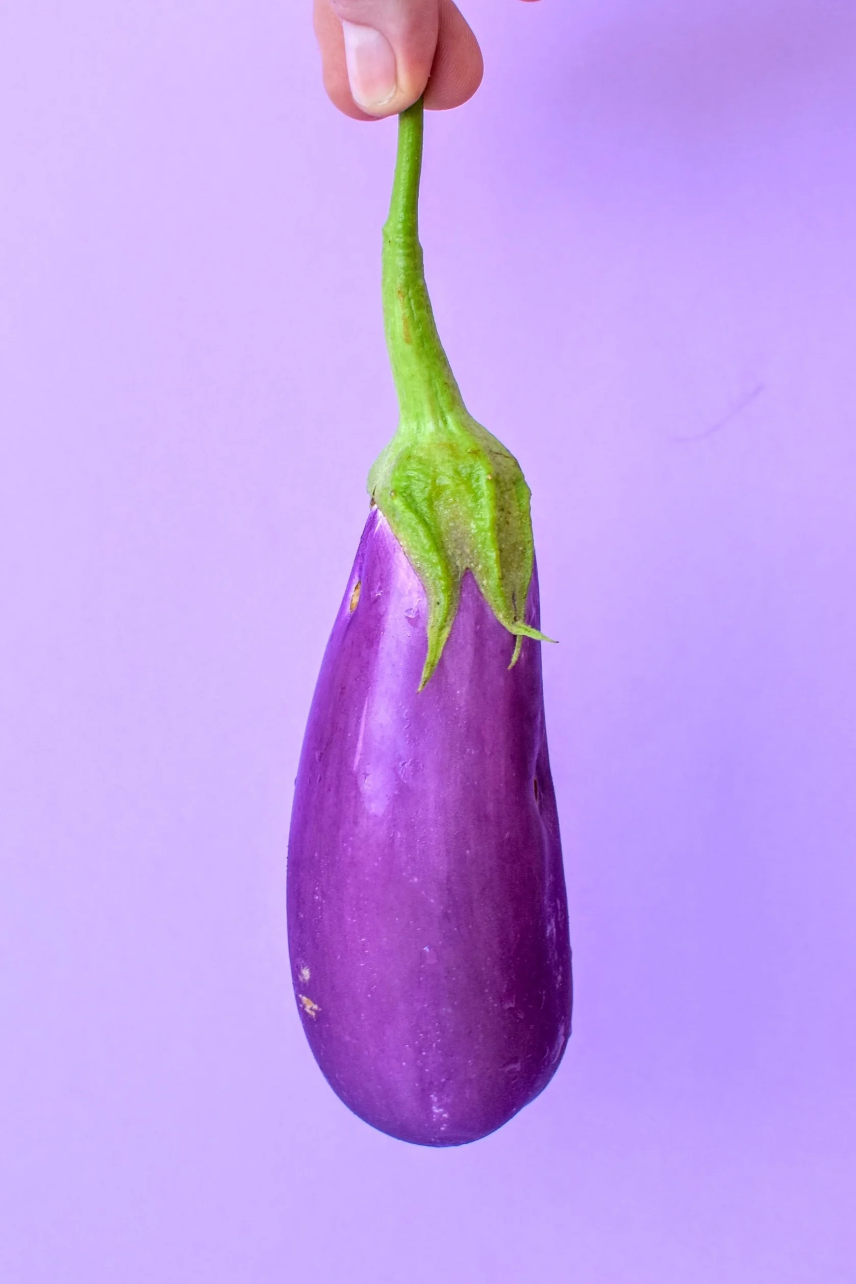 Homegrown Baby Eggplant | Photography by Georgia Barnes