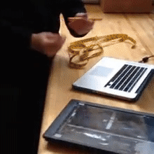ezgif.com-gif-maker (2).gif
