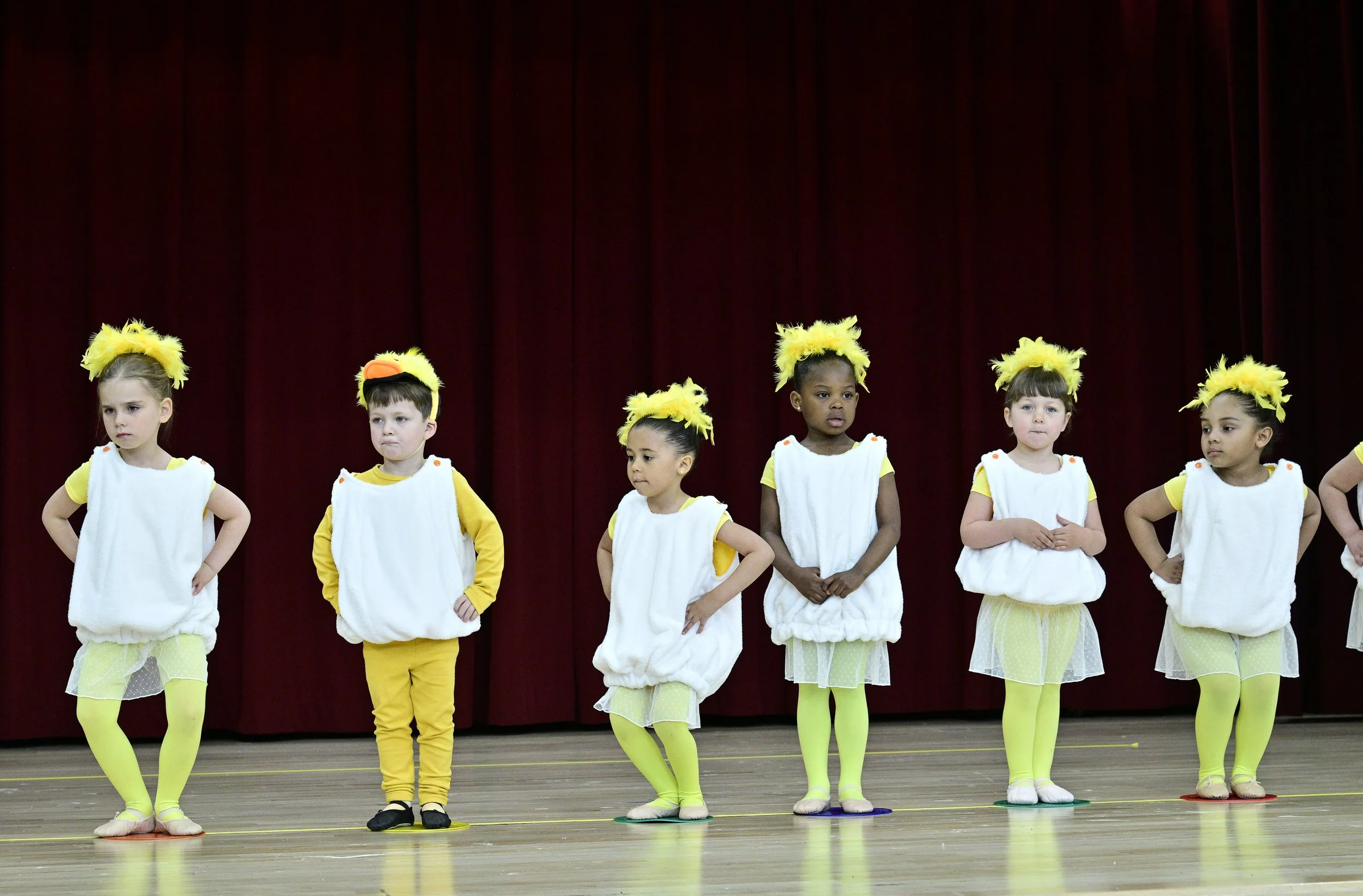 RECITAL_20261028.jpg