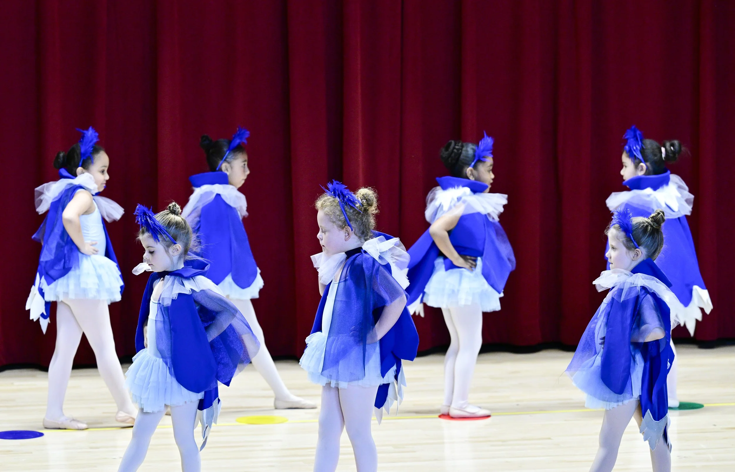 RECITAL_20261980.jpg