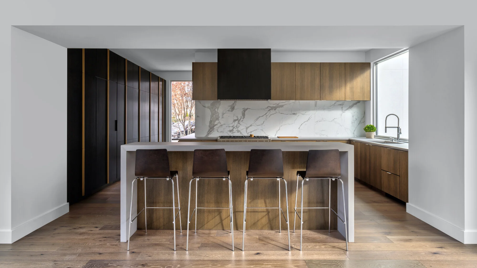 Proctor 11 For Web.jpeg