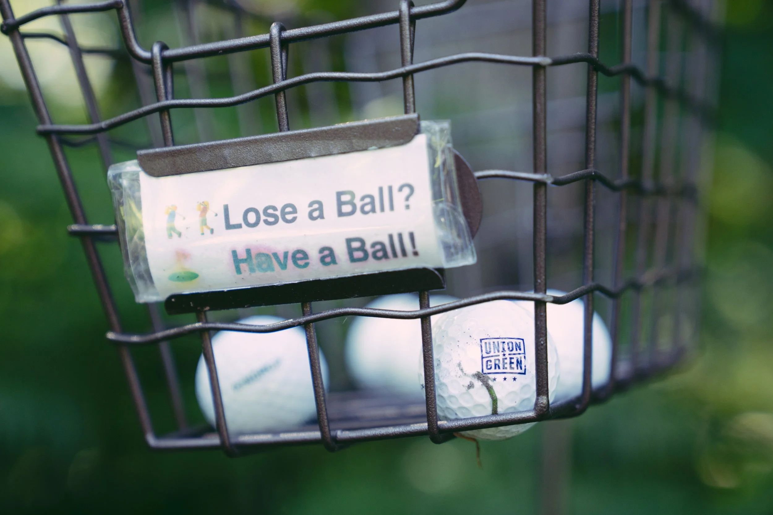 Lost ball.JPG