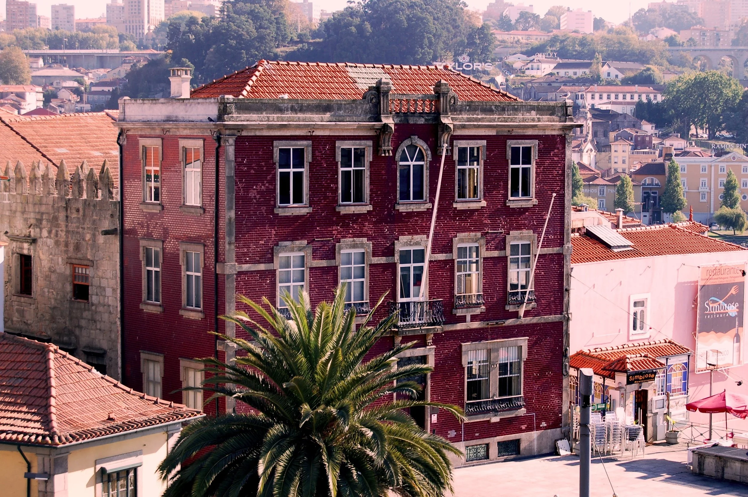 dsc_0098_3927100573_o.jpg