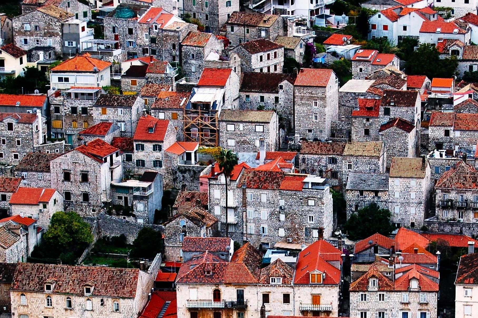 roofs_3926905047_o.jpg