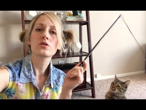 Poor Kitty! - Adventures with Aussie Kim