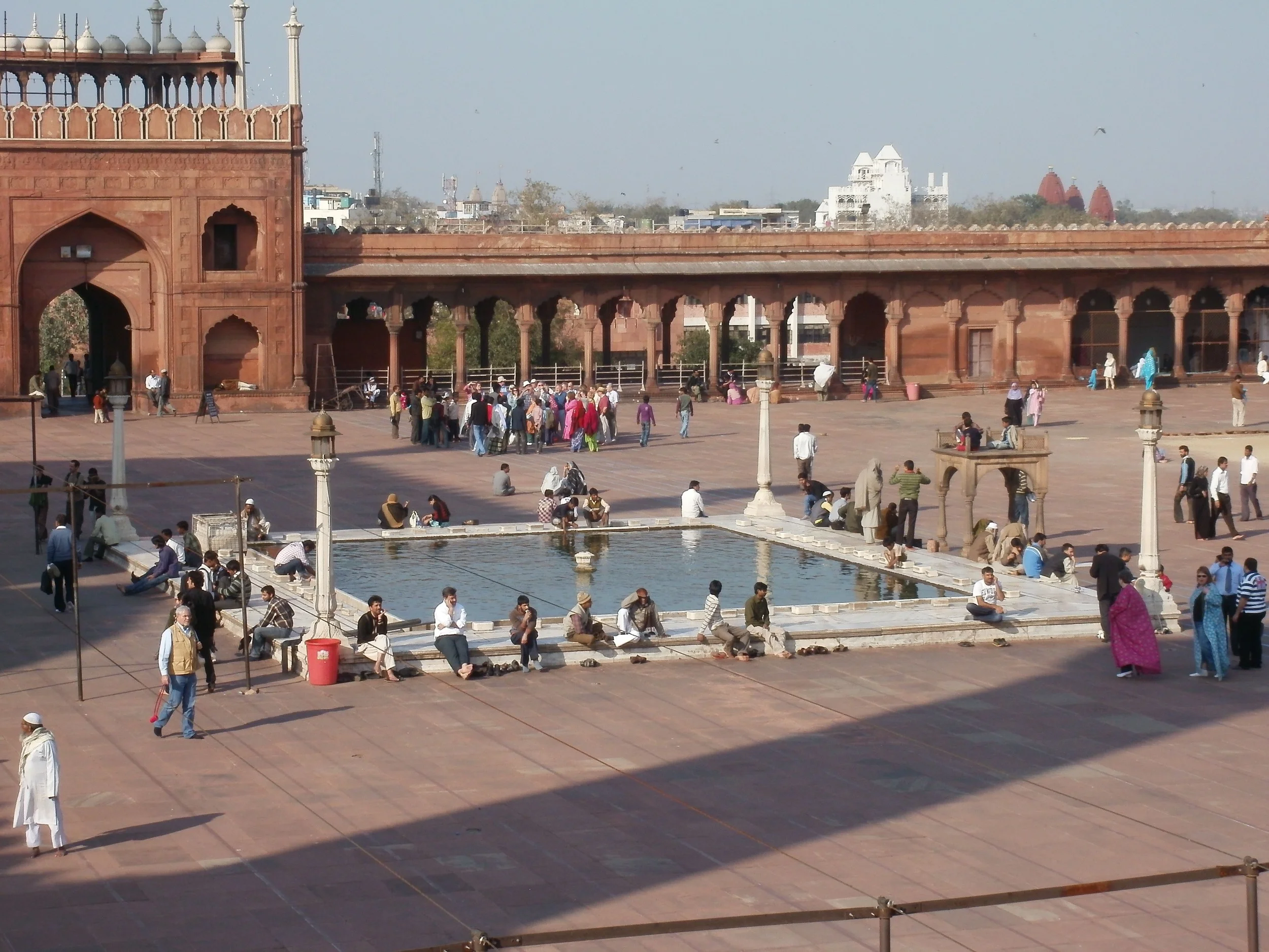 P2170164.jpg
