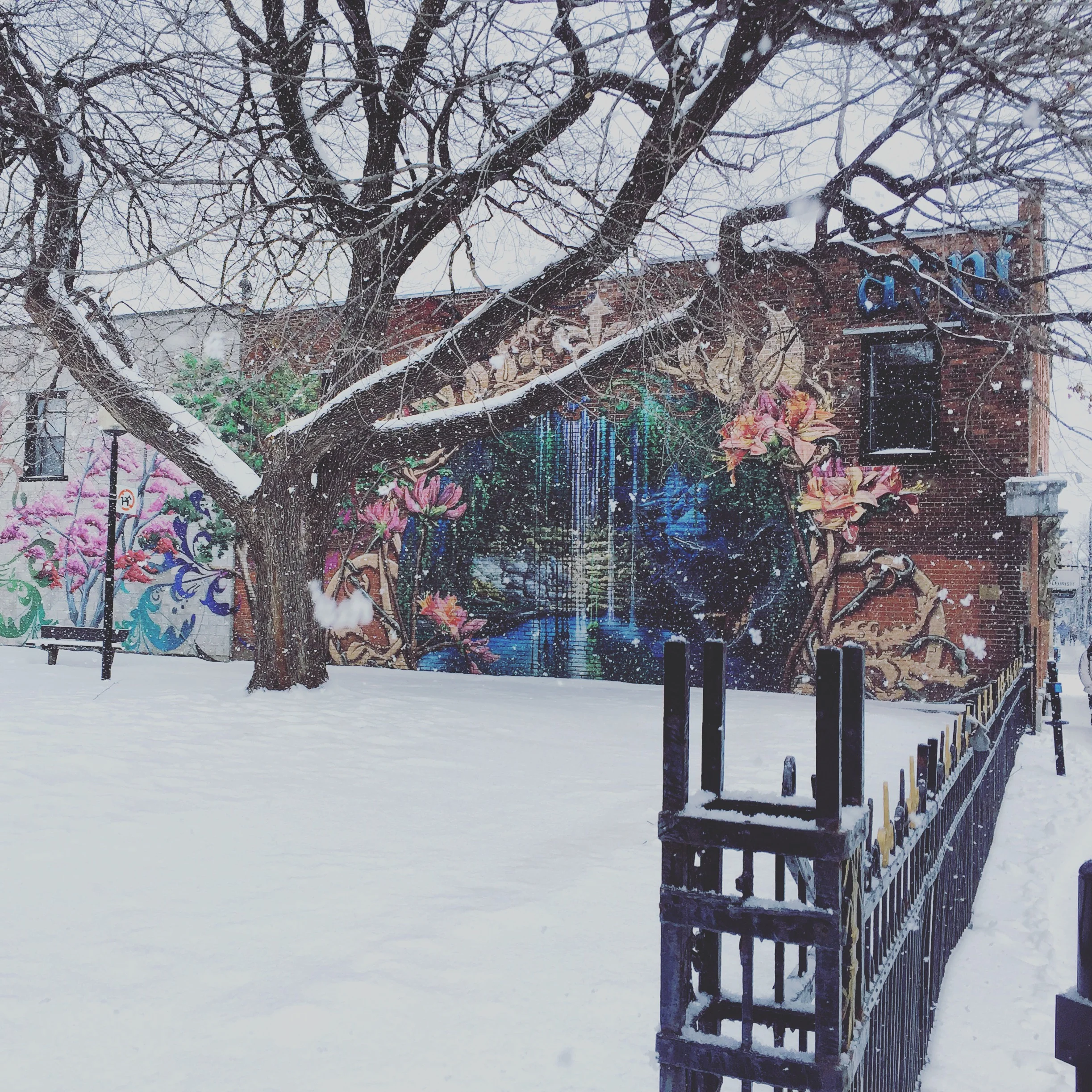 Started off with a beautiful snowy morning walk to the coffee shop