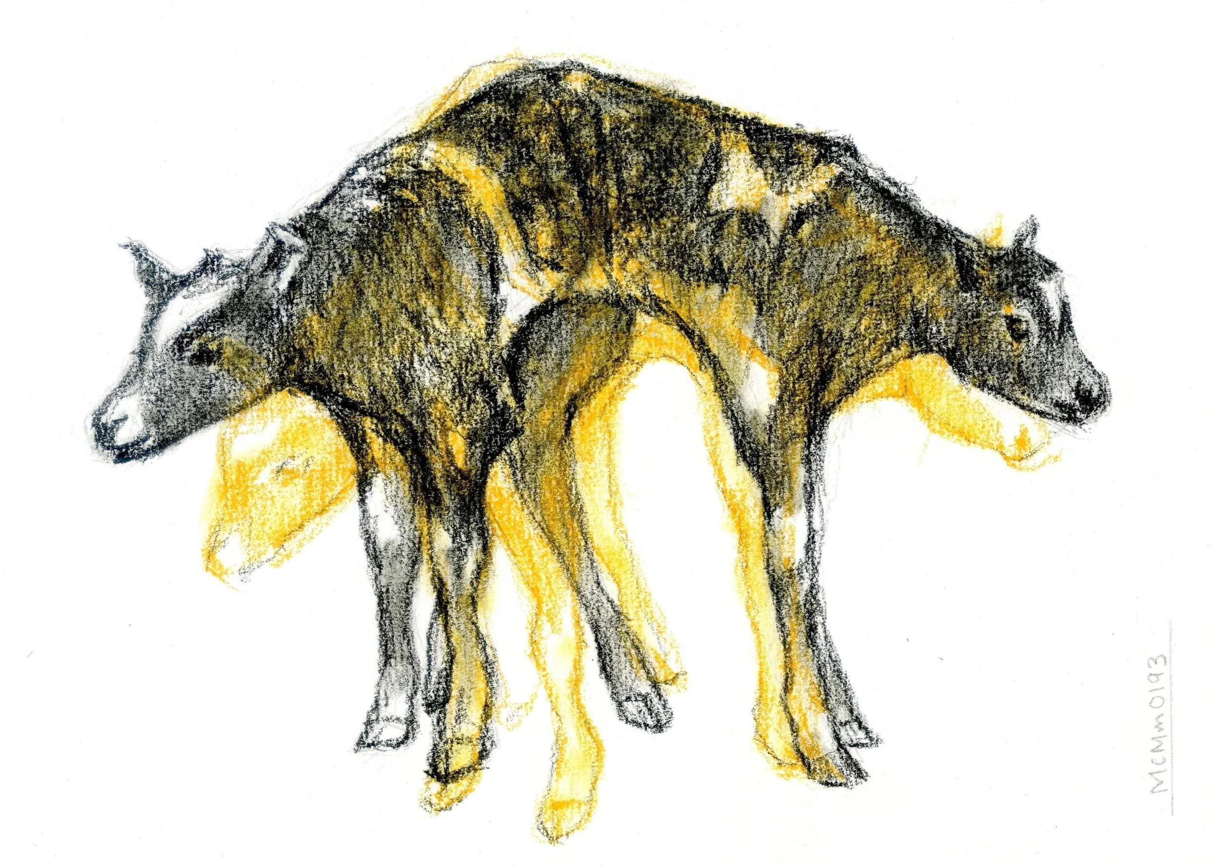 Two-Headed Cow