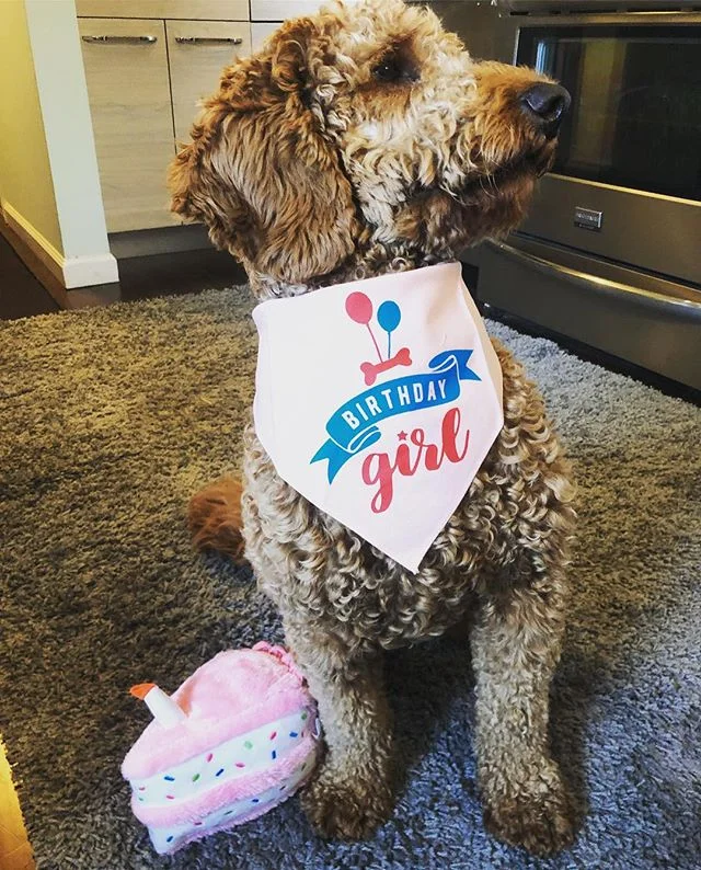Our girl is officially 1 today!
