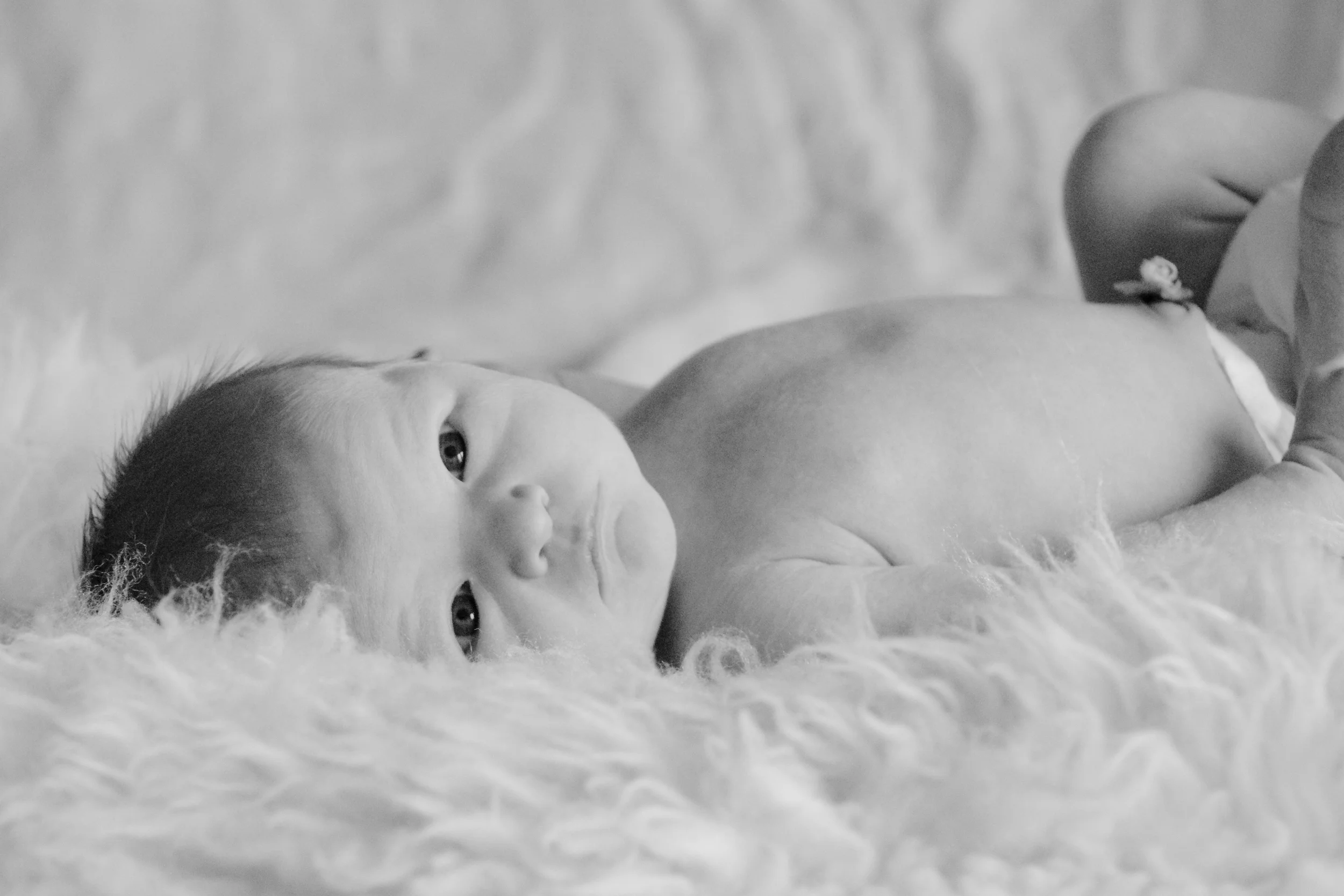 Sweet Trevor || One Day Old Newborn Shoot