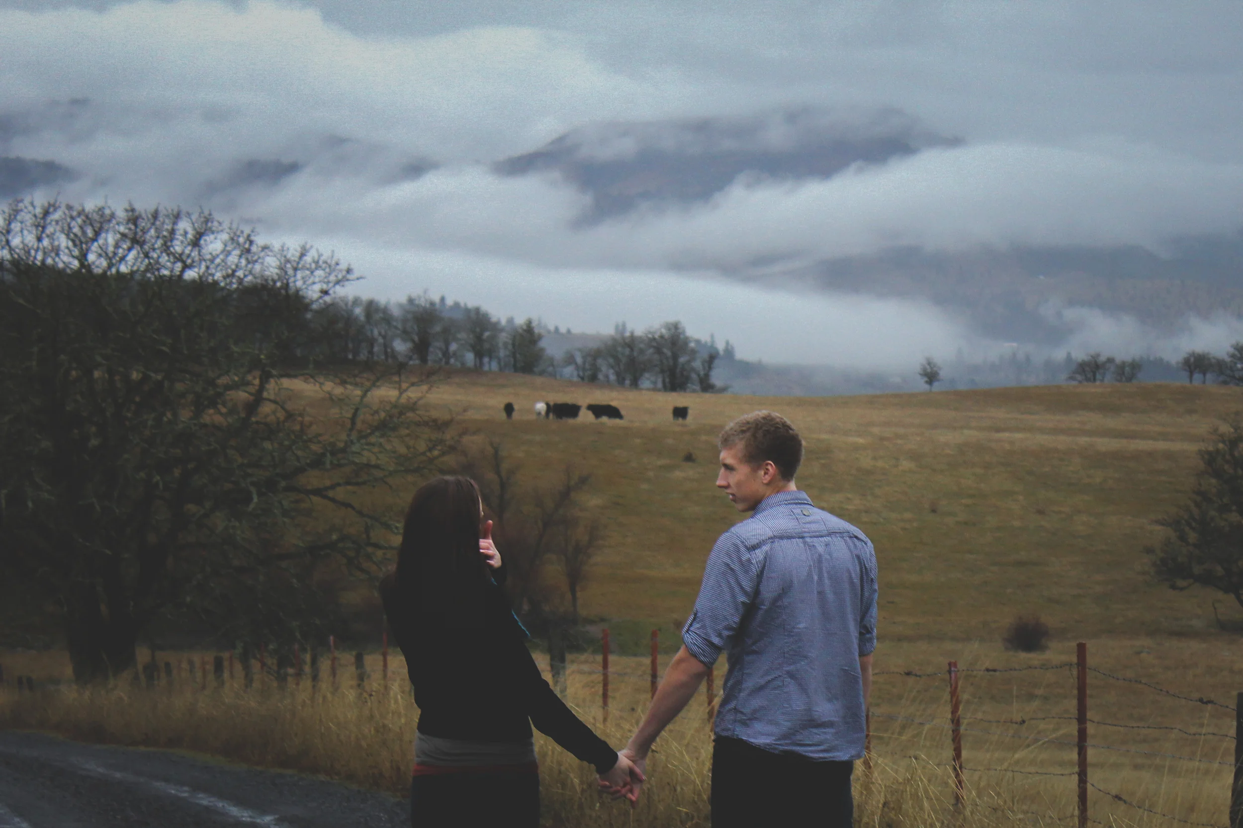 Daniel + Anna | PNW Stormy Engagement