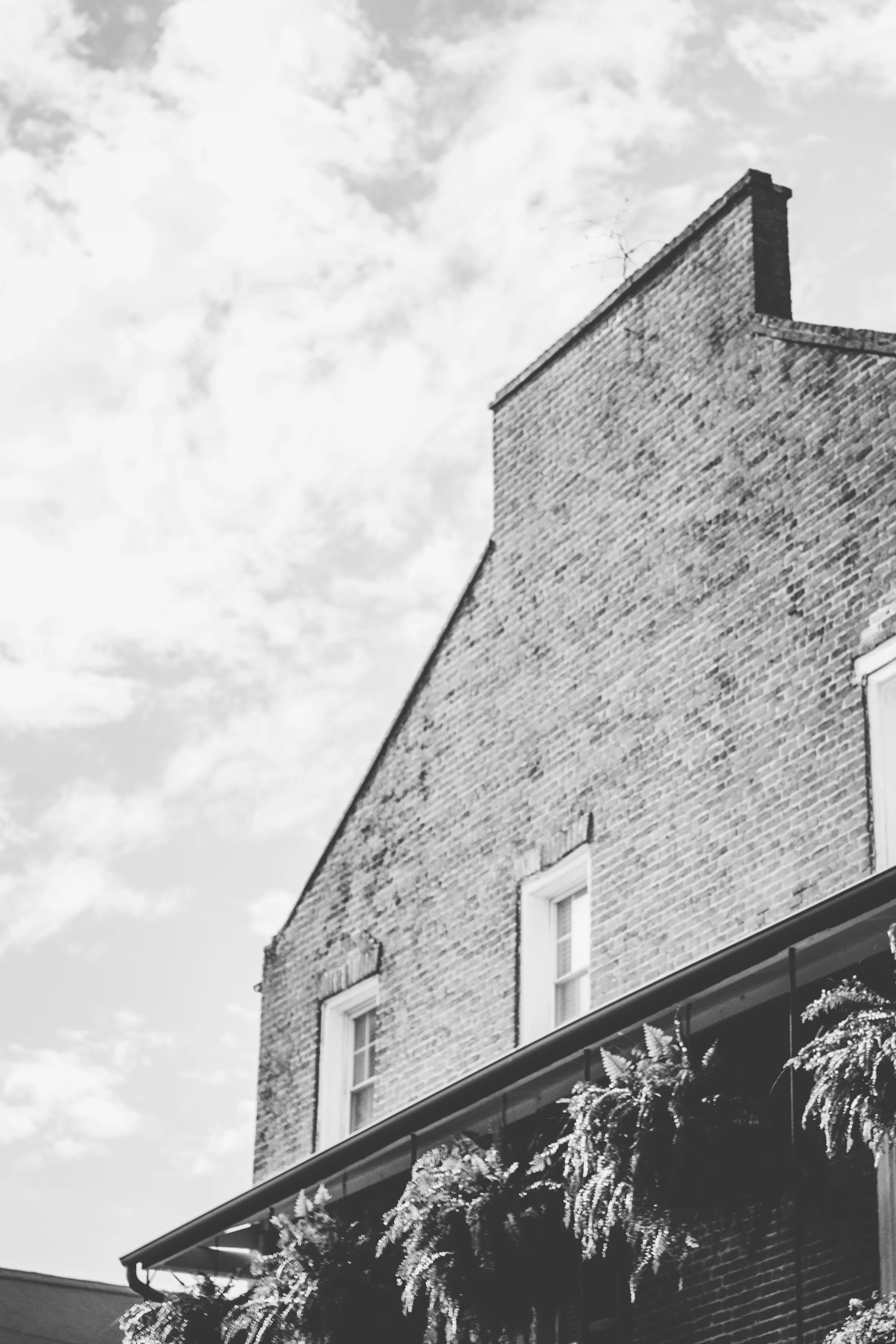nola (3 of 3).jpg