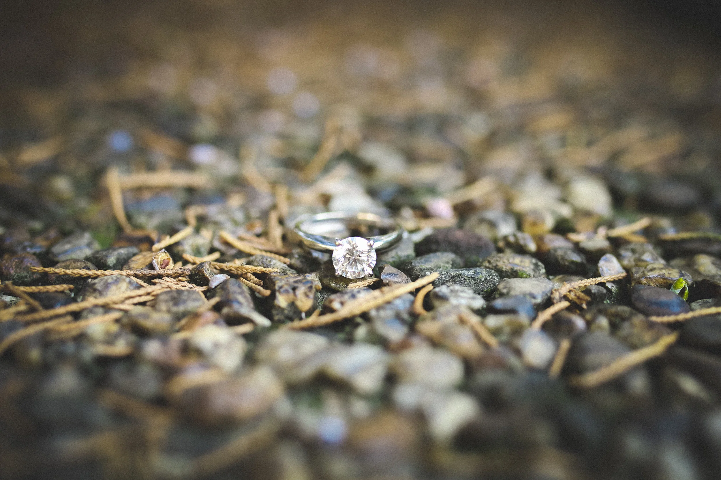 Abi + dave (449 of 468).jpg