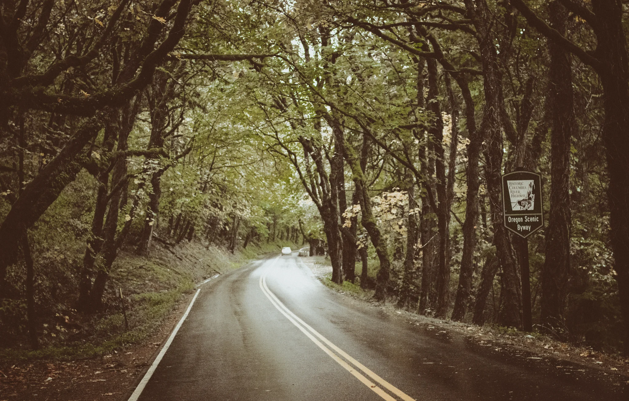 victoria columbia gorge engagement in the rain.  (61 of 125).jpg