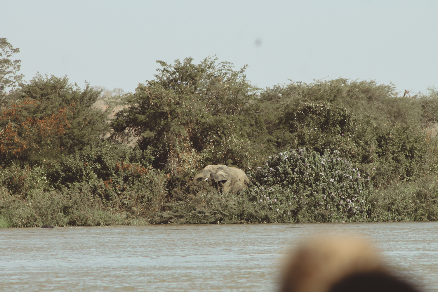 Trae and Christi Chidls | Park W | Niger Safari  (15 of 40).jpg