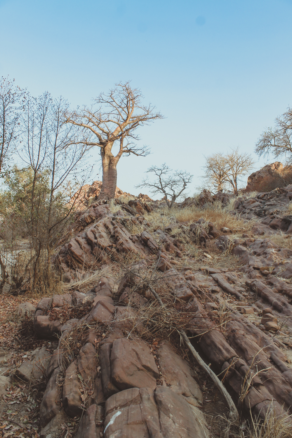 Trae and Christi Chidls | Park W | Niger Safari  (30 of 40).jpg