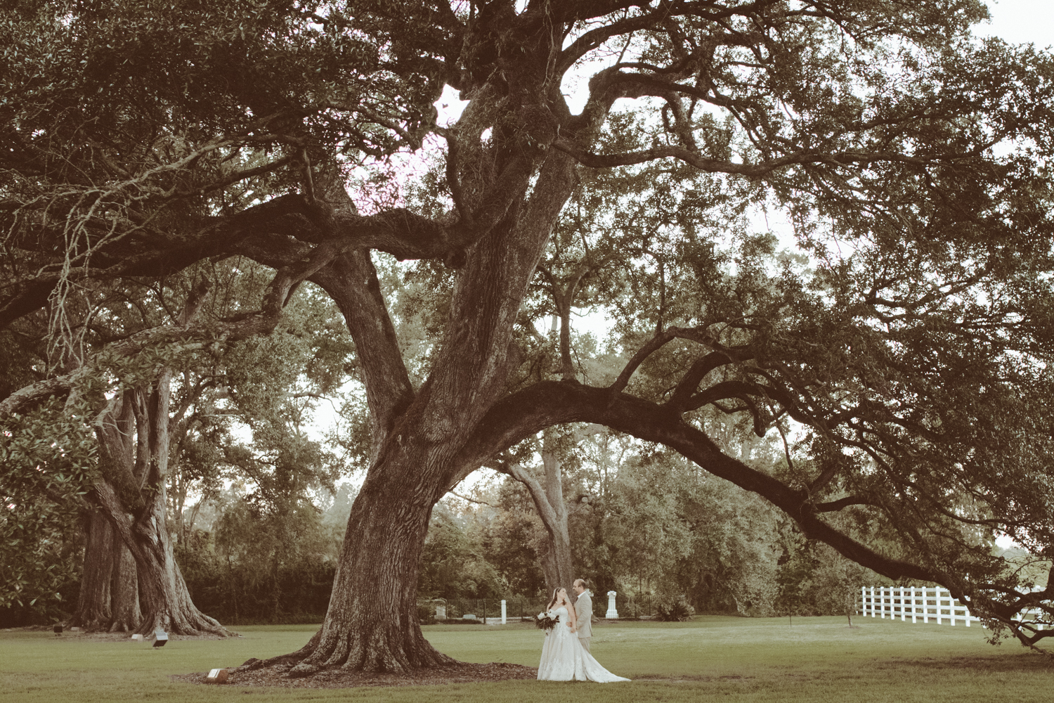 maggie wedding portraots nottoway louisiana  lowres (106 of 126).jpg