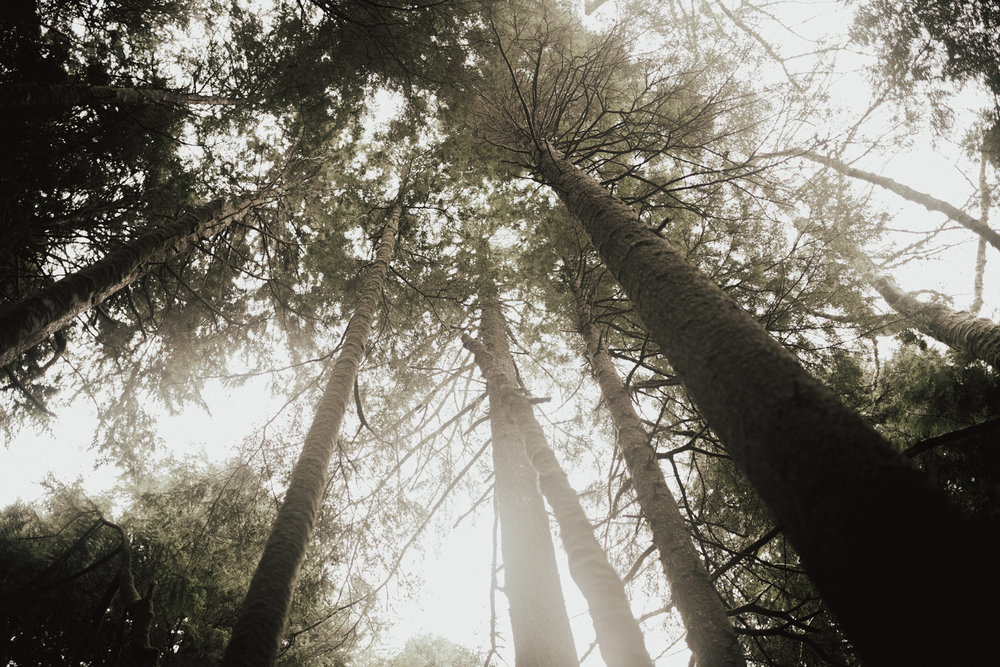 Erin + Jay | PNW Engagement  (172 of 256).jpg