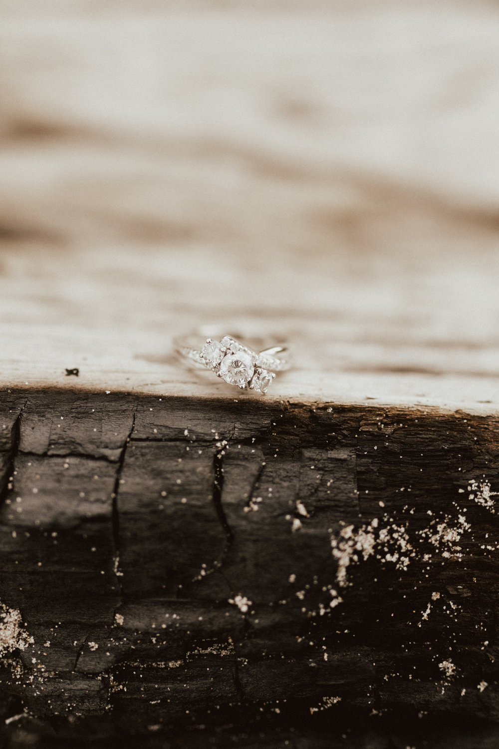 Erin + Jay | PNW Engagement  (53 of 256).jpg