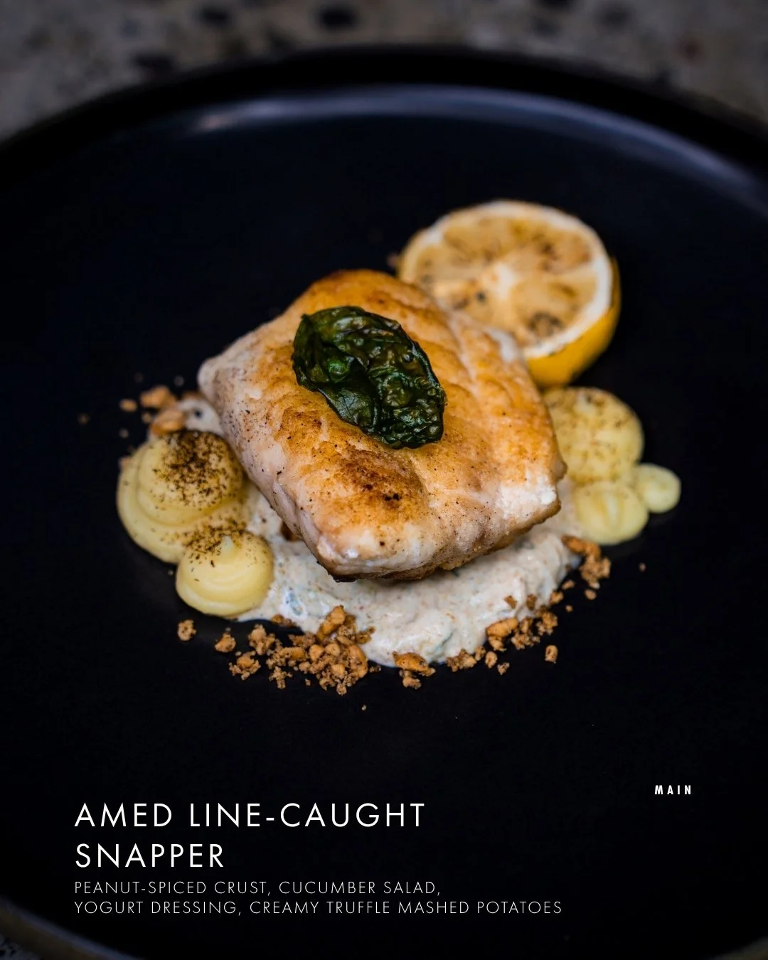 Fresh from the coast, finished with a twist. Line-caught snapper with a peanut-spiced crust, cucumber salad, and truffle mashed potatoes. 🐟

AMED LINE-CAUGHT SNAPPER
peanut-spiced crust, cucumber salad, yogurt dressing, creamy truffle mashed potatoe