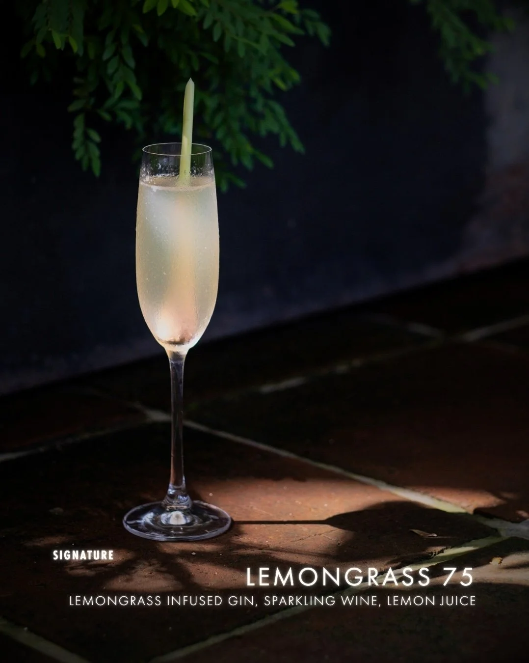 A tall champagne flute filled with a light-colored sparkling drink, garnished with a lemongrass stalk, set on a dark surface with green foliage in the background. Text overlay: 'Signature Lemongrass 75 - Lemongrass infused gin, sparkling wine, lemon juice'.
