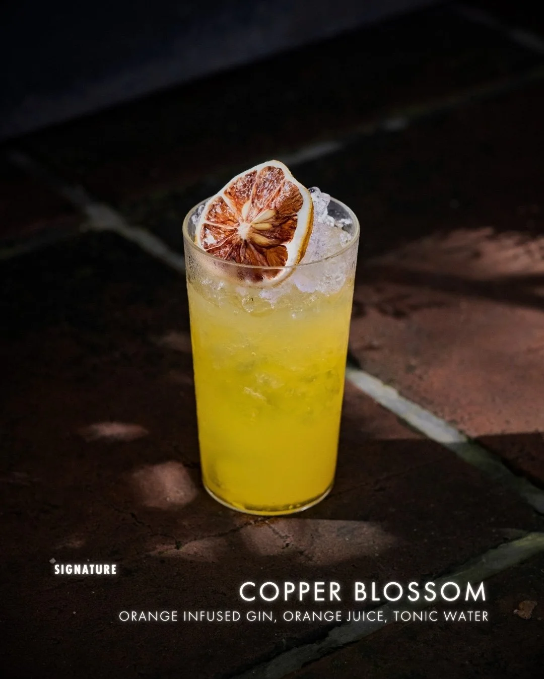 A tall glass of Copper Blossom cocktail with orange-infused gin, orange juice, and tonic water, garnished with a dried orange slice, on a dark surface.