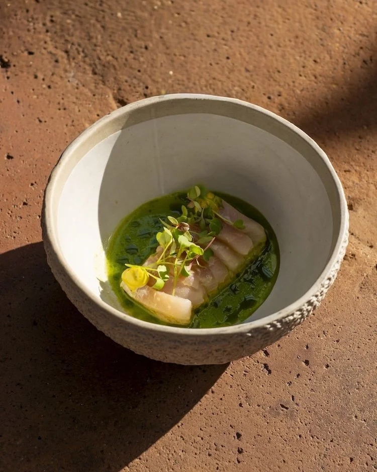 A small bowl with a piece of white fish topped with microgreens, in a green herb sauce, on a sandy surface.