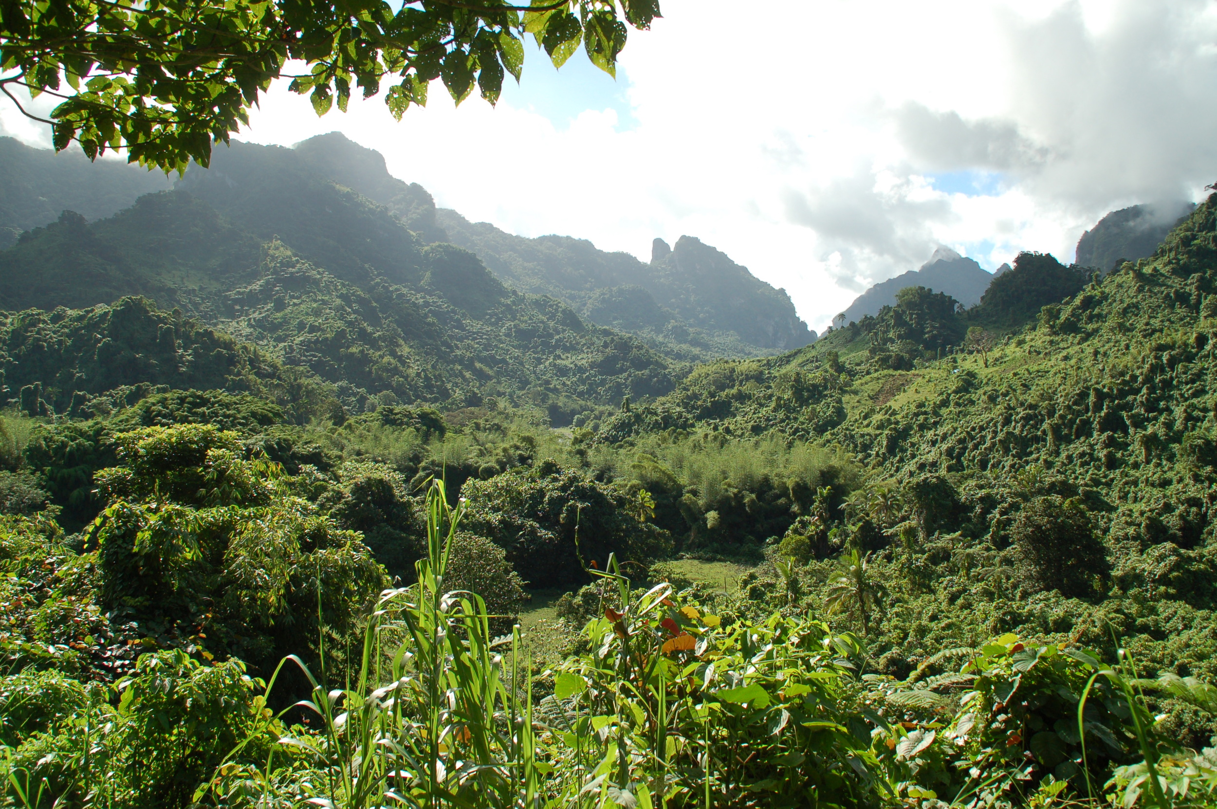 View from the Hike